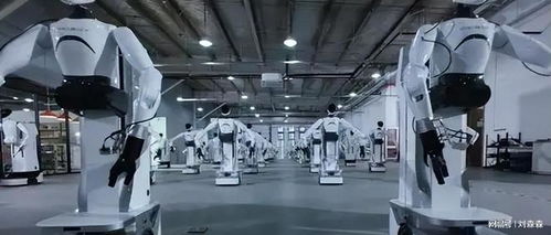 60億元合約刷屏，人形機器人從秀場到車間 倉儲業交付才是生死線